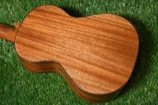 DCT DUT-600M Tenor_2