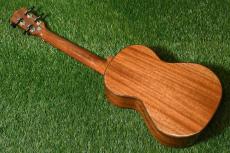 DCT DUT-600M Tenor_4
