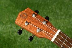 DCT DUT-600M Tenor_5
