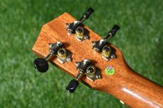 DCT DUT-600M Tenor_6