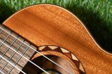 DCT DUT-600M Tenor_9