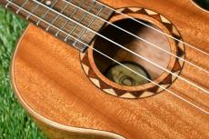 DCT DUT-600M Tenor_10