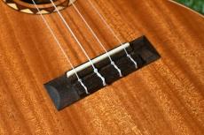 DCT DUT-600M Tenor_11