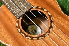 DCT DUT-600M Tenor_15