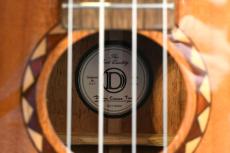 DCT DUT-600M Tenor_16