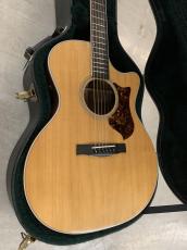 Martin GPCPA3 Rosewood/Performing Artist Series!Fishman ピックアップ搭載!_2