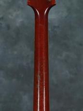 Epiphone 1965 Crestwood Deluxe_12