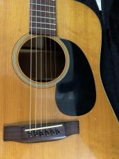 Seagull SD-50 Seagull弦楽器工房 塩崎雅亮氏のD-18モデル!_3