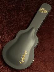 Epiphone Shinichi Ubukata ES-355 ハードケース