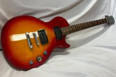 Epiphone Les Paul Special II_2
