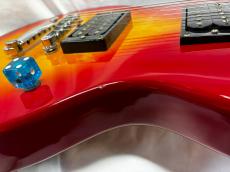 Epiphone Les Paul Special II_8
