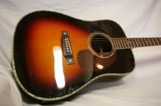 ARIA AriaDreadnought AD-80