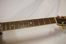 ARIA AriaDreadnought AD-80_4