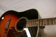 ARIA AriaDreadnought AD-80_5