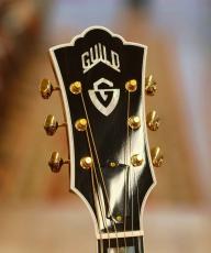 Guild Guild D-55 【フラッグシップ】【無金利分割・送料当社負担】【Guildマグカップ付き】_6