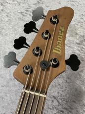 Ibanez MDM1005 -  Midnight Arctic Ocean Matte -【4.11kg】_6