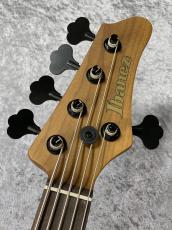 Ibanez MDM1605 - Natural Mocha Low Gloss -【3.93kg】_6