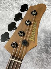 Ibanez MDM1600 - Natural Mocha Low Gloss -【3.55kg】【軽量個体】_6