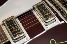 Gretsch G6119T-62 Vintage Select Edition '62 Tennessean Hollow Body with Bigsby / 3.19kg_3