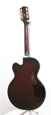 Gretsch G6119T-62 Vintage Select Edition '62 Tennessean Hollow Body with Bigsby / 3.19kg_7