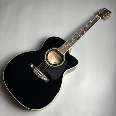 Ibanez 【現物画像】AC391CE　エレアコ_2