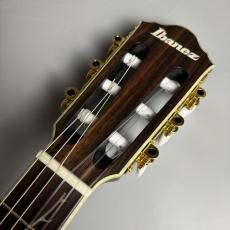Ibanez 【現物画像】TOD10N TKF エレガット Tim Henson Signature ティムヘンソン シグネチャー エレガットギター_3