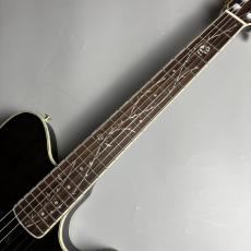 Ibanez 【現物画像】TOD10N TKF エレガット Tim Henson Signature ティムヘンソン シグネチャー エレガットギター_4