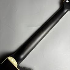 Ibanez 【現物画像】TOD10N TKF エレガット Tim Henson Signature ティムヘンソン シグネチャー エレガットギター_7