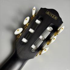 Ibanez 【現物画像】TOD10N TKF エレガット Tim Henson Signature ティムヘンソン シグネチャー エレガットギター_9