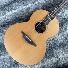 Sheeran by Lowden S-01_2
