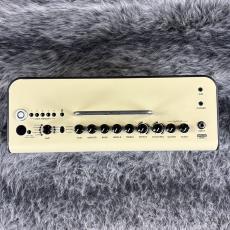 YAMAHA THR30II Wireless_4