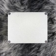 WALRUS AUDIO Luminary / Octaver_2