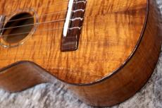 Famous FC-500 Premium 個体番号1 【コンサート】【プレミアムモデル】【現物写真】【池袋在庫品】_5