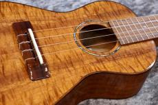 Famous FC-500 Premium 個体番号2 【コンサート】【プレミアムモデル】【現物写真】【池袋在庫品】_3
