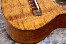 Famous FC-500 Premium 個体番号2 【コンサート】【プレミアムモデル】【現物写真】【池袋在庫品】_4