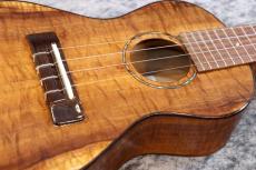 Famous FC-500 Premium 個体番号3 【コンサート】【プレミアムモデル】【現物写真】【池袋在庫品】_3