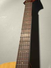 Fender Newporter Player NA 【最高にクールなルックスで、最高にエモーショナルな演奏を】 #2528466_3