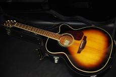 Takamine PTU-010_2