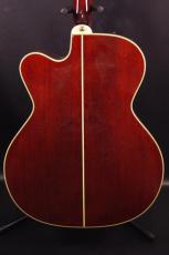 Takamine PTU-010_3