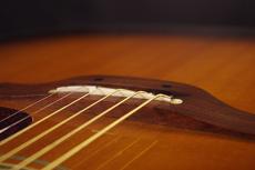 Takamine PTU-010_6