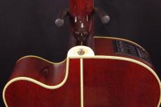 Takamine PTU-010_7