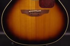 Takamine PTU-010_9