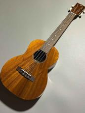 ILIKAI 【抱きしめれば、そこはハワイ】【テナーウクレレ】IL-TEN-4KGG_2