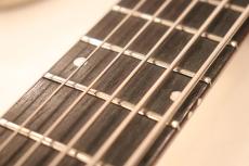 Danelectro 1959 4623 Longhorn 6-String Bass Baritone "Copper Burst Finish"_4
