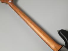 Bacchus BJB-1-RSM/R GM-BLK-MH【3.90kg】_9