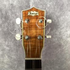 Antar #1119105_2