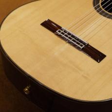 ARIA A-85CWE_2