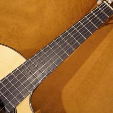 ARIA A-85CWE_4