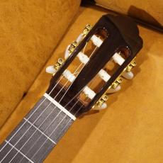 ARIA A-85CWE_8