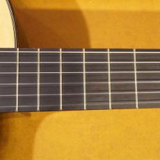 ARIA A-85CWE_10